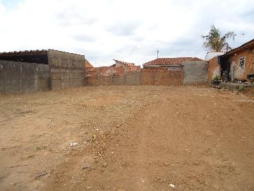 imagem 2 - Terreno imagem 2 - Terreno