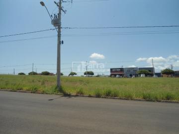 imagem 1 - Terreno Jaime Tellini imagem 1 - Terreno Jaime Tellini